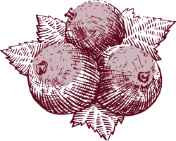 Groseilles logo